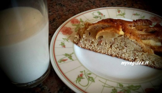 torta di mele con farina di farro e okara di mandorle