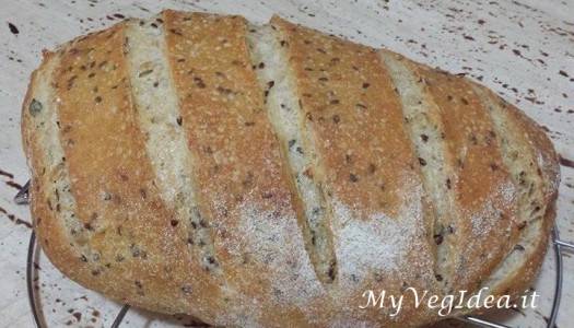 PANE DI SEMOLA E TIPO2 con semi di lino