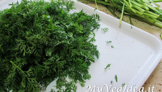 PESTO DI “BARBE DI CAROTA”