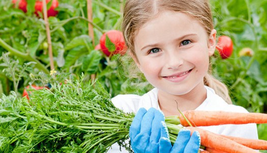 PETIZIONE: Via gli alimenti cancerogeni dalle mense scolastiche