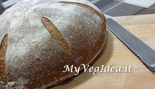 PANE SEMI INTEGRALE con siero di latte di soia